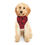Thumbnail: Regal Black and Red Hoodie for Dogs and Cats