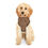 Thumbnail: Mocha Latte Hoodie for Stylish Dogs and Cats