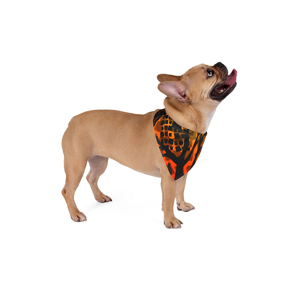 Thumbnail: Ghana Sunset Pet Dog and Cat Bandana 