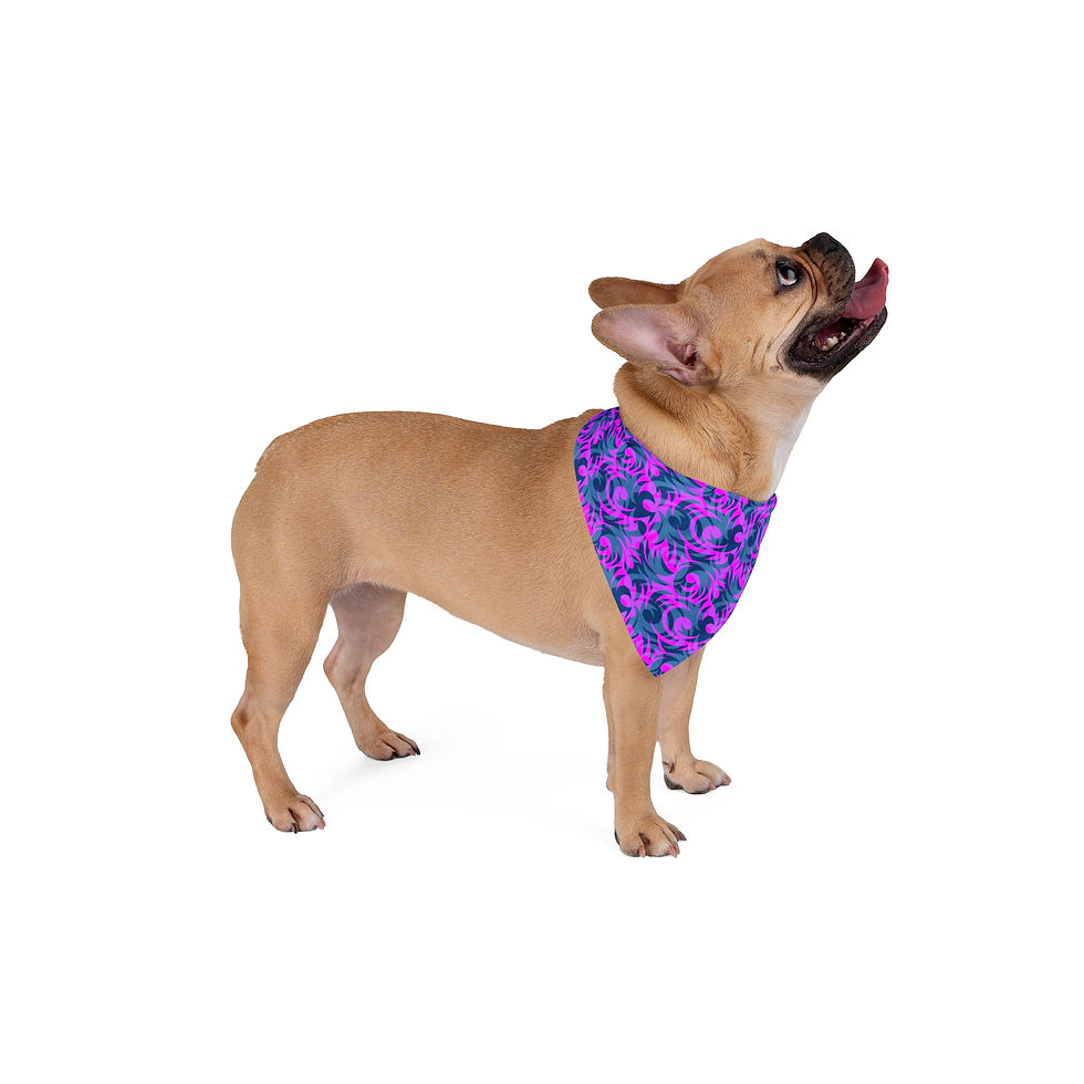Thumbnail: Carnival Bandana for Cats and Dogs