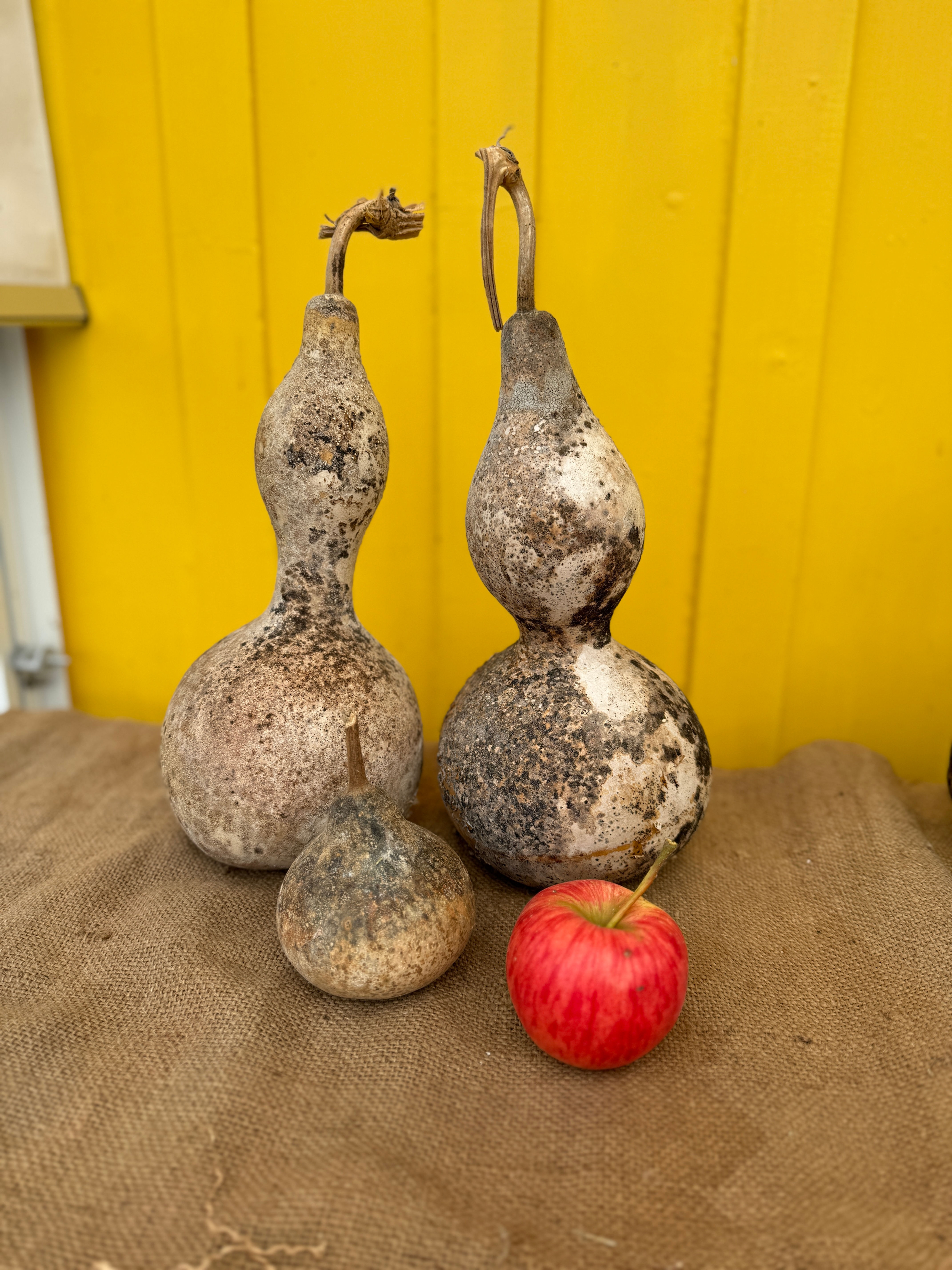 Halloween Rohling-Set 3 er 🎃  mittlere Größe  für dein DIY-Projekt
