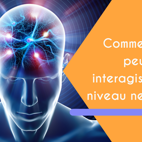 Comment les peurs interagissent au niveau neuronal ?