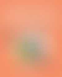 Herbe à chat et Herbe aux chats