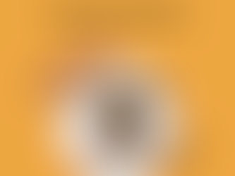 Bac à litière fermé ou ouvert ? 