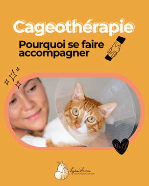 La cageothérapie : pourquoi se faire accompagner ?