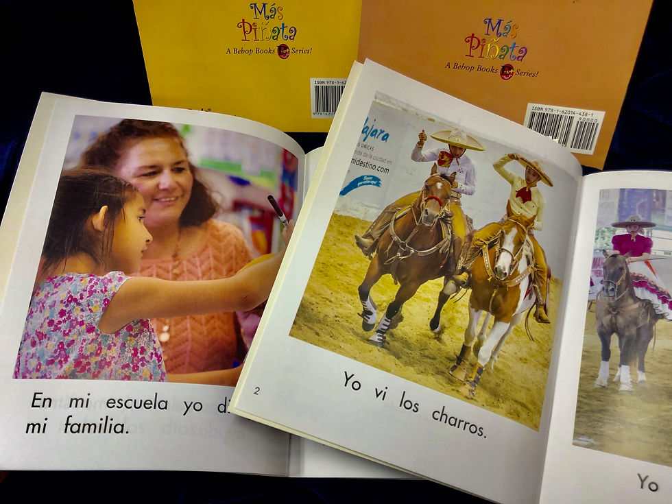 Thumbnail: Más Piñata A Bebop Books Series 1