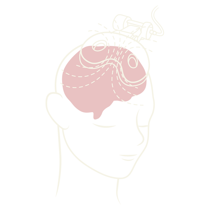Transparent (2).png
