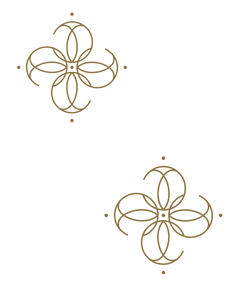 Dra Gabriela Almeida (5).png