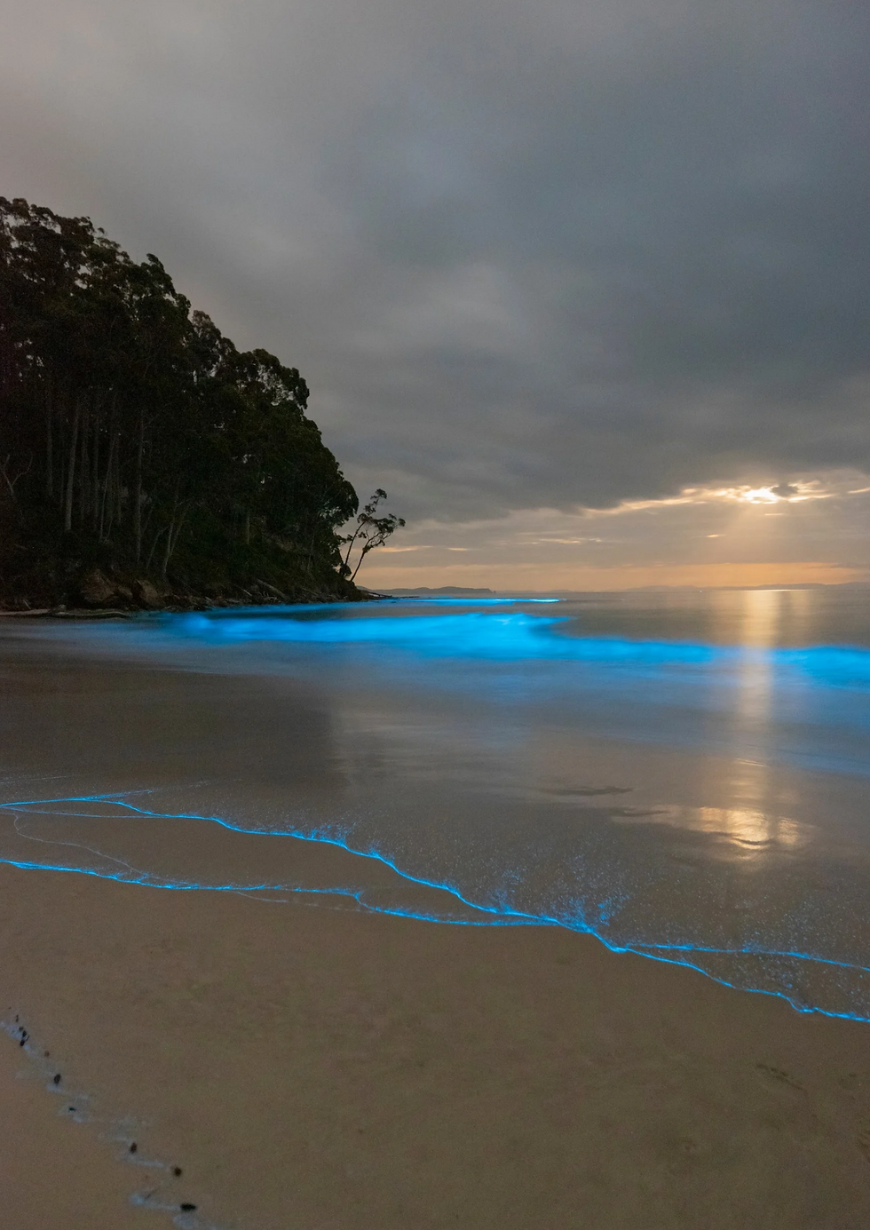 Thumbnail: 2026 Aurora Australis Calendar, Bruny Island, Tasmania