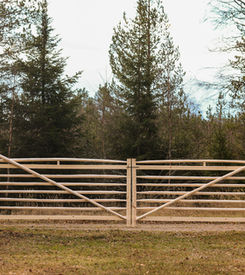 Hantverk från dalarna Gärdesgård Traditionellt hantverk Trägrind Senvuxet material Kvalitet Dina behov och önskemål Grind tillverkning Skräddarsyr efter dina önskemål Trä design utbildning Slanor av senvuxen gran
Höjd 110-120cm Leksandsgärdesgård obarkad Lokalt Dalarna Vidjor 
Gärdesgårdsmodell Gärdesgårdar och grindar
Gärdesgårdsbygge slanor vidja tradition gammeldags underhållsfritt trä staket  trä tomt hus gård natur gran gärsgård hägn kvalité trä grind  byggnadsvård bindning trädgårdsinspiration enkelgrind dubbelgrind finsnickeri torp gärdesgårdsvirke grindstolpar villa familj pinngrind hus landet design inhägnad lantställe 
