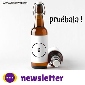 newsletter nº6