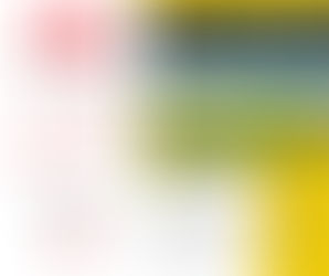 Newsletter Placeweb Diseño Web