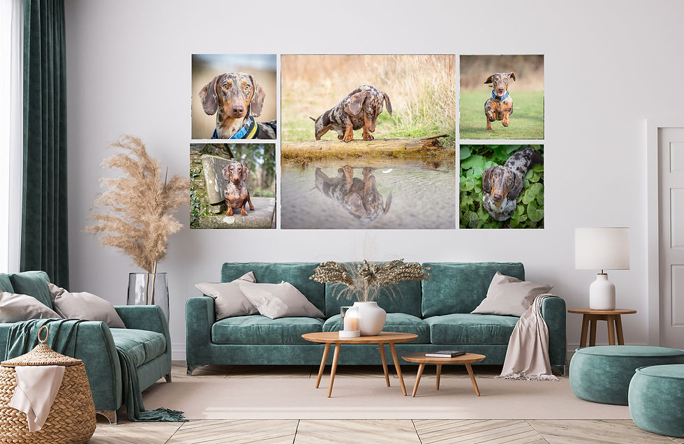 Wall Art