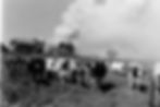 BurningBarn_Cows