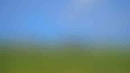 Edo Miquel Academy - Casa de Campo