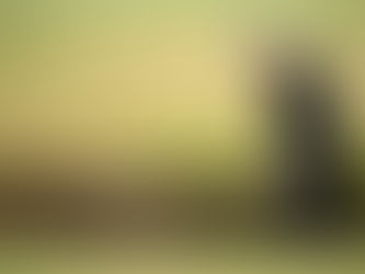 Aaron Jarvis continúa con su sueño dorado en The 150th Open