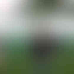 De Teeth of the Dog a Augusta National: Aaron Jarvis comenzará a partir de este jueves a escribir su propia historia. / Foto: GMMG.