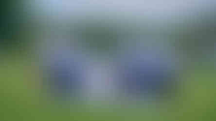 Edo Miquel Academy - Casa de Campo