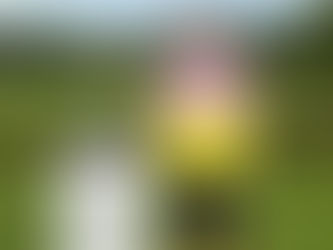 Aaron Jarvis es el flamante campeón del Latin America Amateur Championship