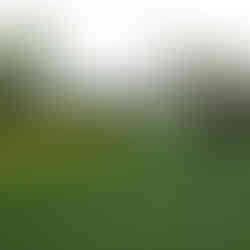 Aaron Jarvis será el primer jugador de Islas Caimán que participará en el Masters. / Foto: GMMG.