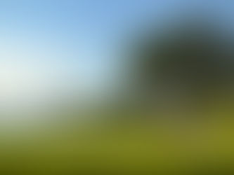 LAAC 2022: el fuego sagrado de un campeonato único