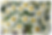 Stock Your Home Herbal Apothecary