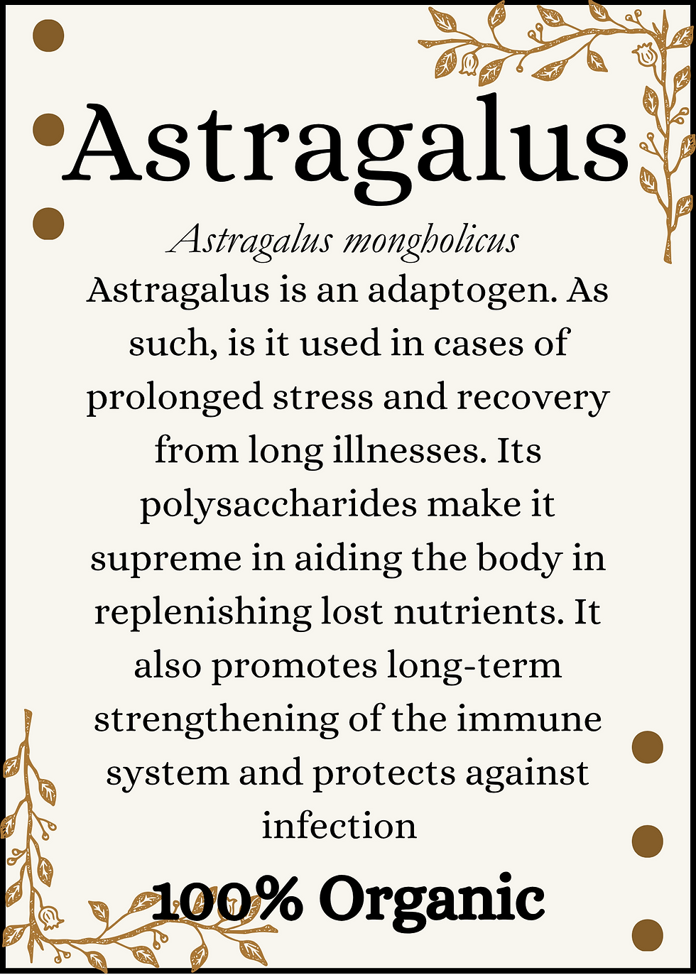 Astragalus Root Organic, Cut Sifted