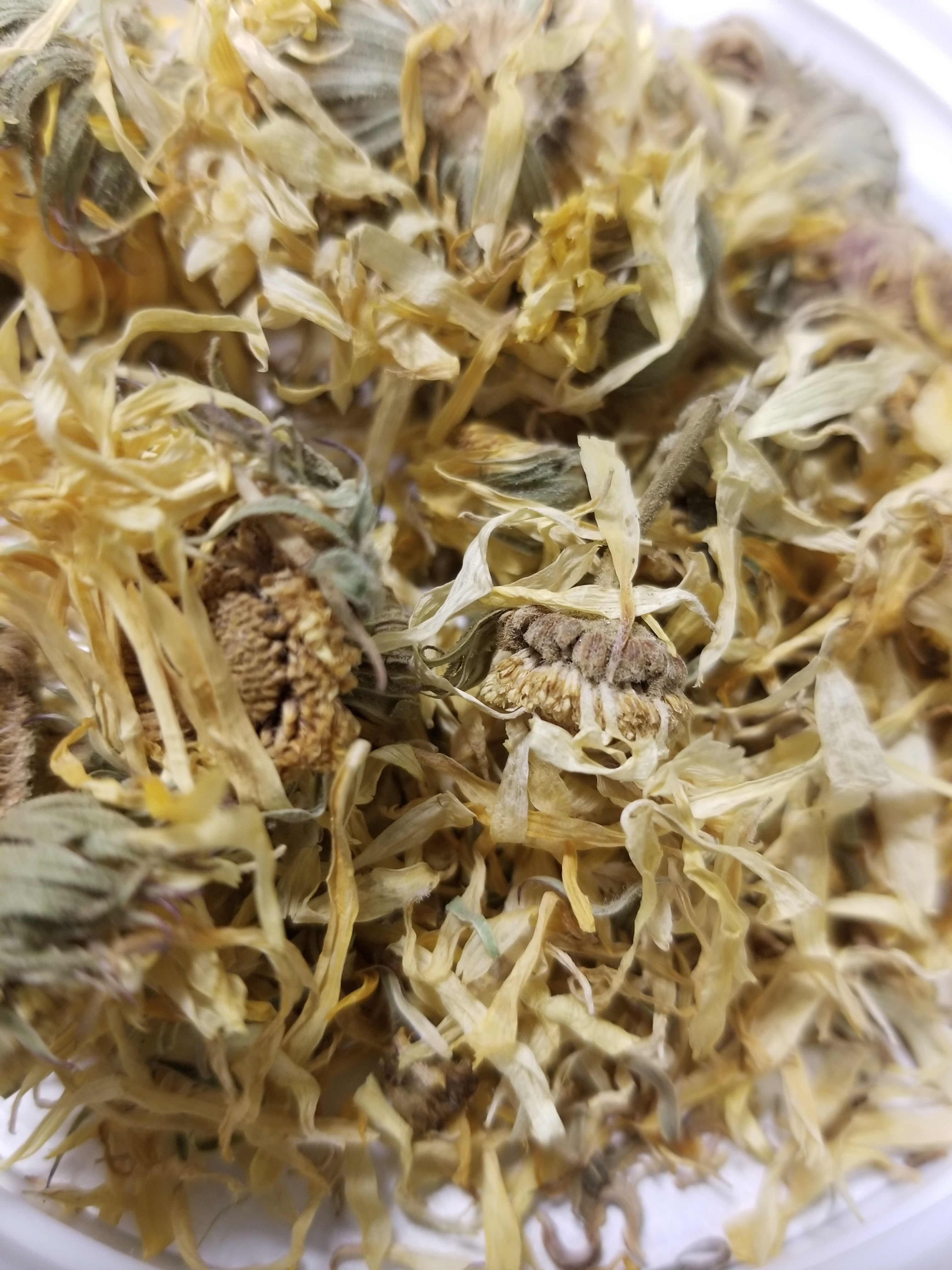 Calendula Flower Organic