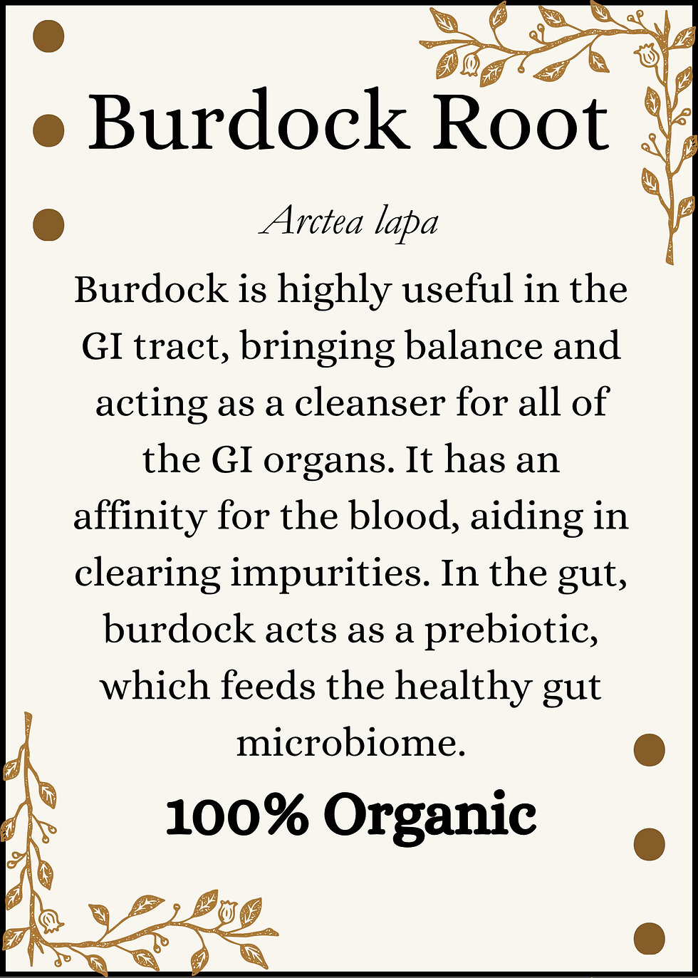 Miniature : Burdock Root Organic