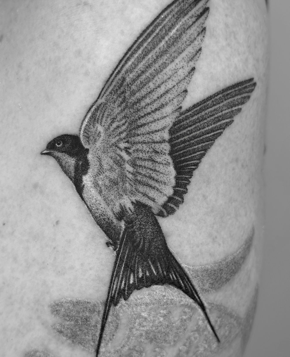 Single Needle Tattoos Explained