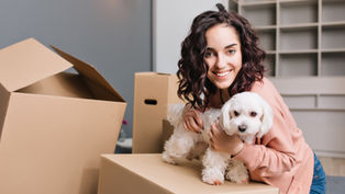 Umzug mit Haustieren – so gelingt der Neustart für Vierbeiner