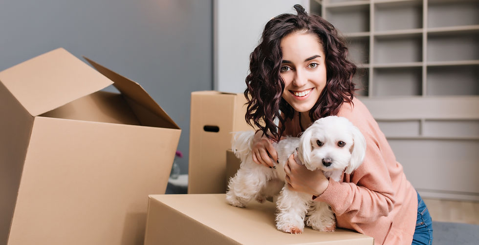 Umzug mit Haustieren – so gelingt der Neustart für Vierbeiner