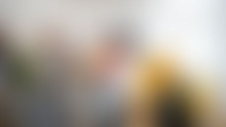 Haushaltsauflösung Schritt für Schritt