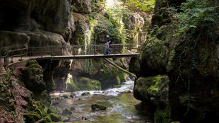 Die Taubenlochschlucht: