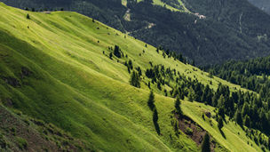 Wie die Neue Regionalpolitik (NRP) das Seeland stärkt 