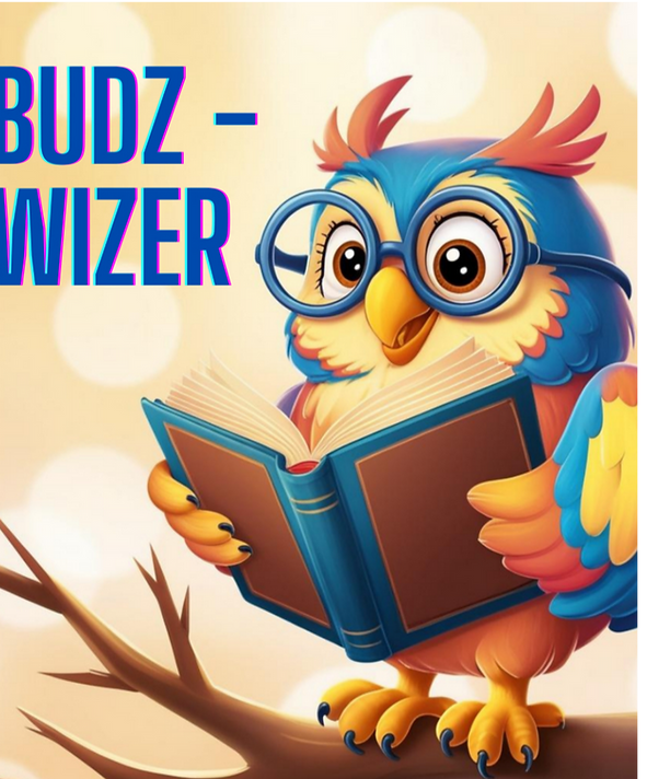 Budz -Wizer_20241110_060000_0000_edited_edited_edited_edited.png