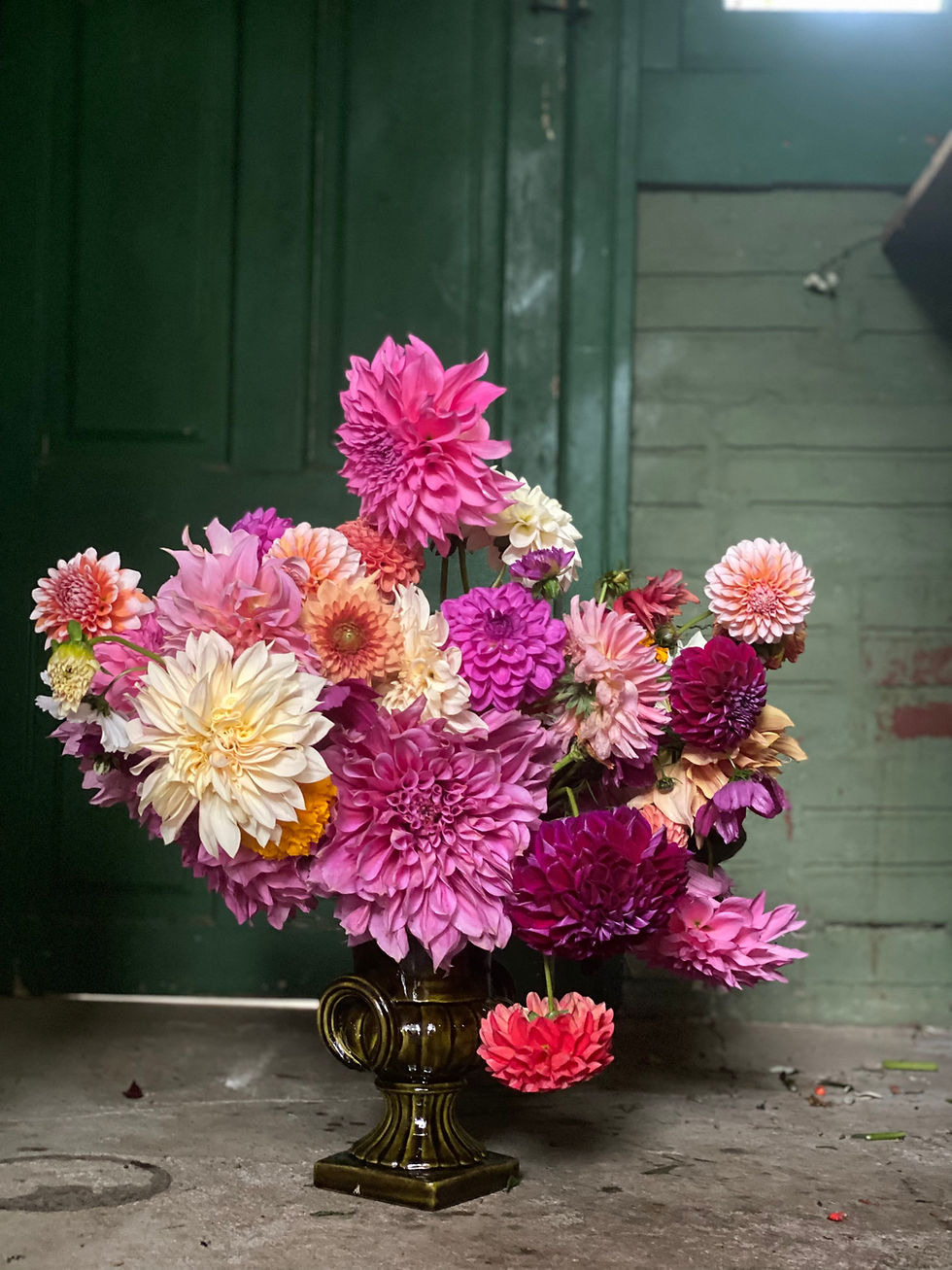 Seasonal Dahlia Floral Arrangement