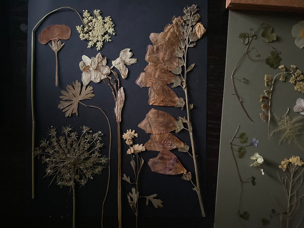 Thumbnail: Botanical Pressed Art