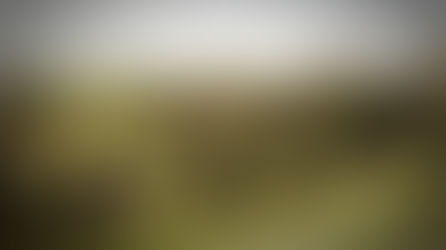 Fair Oak Farm Eco-Lodge Tree Houses High Weald East Sussex UK