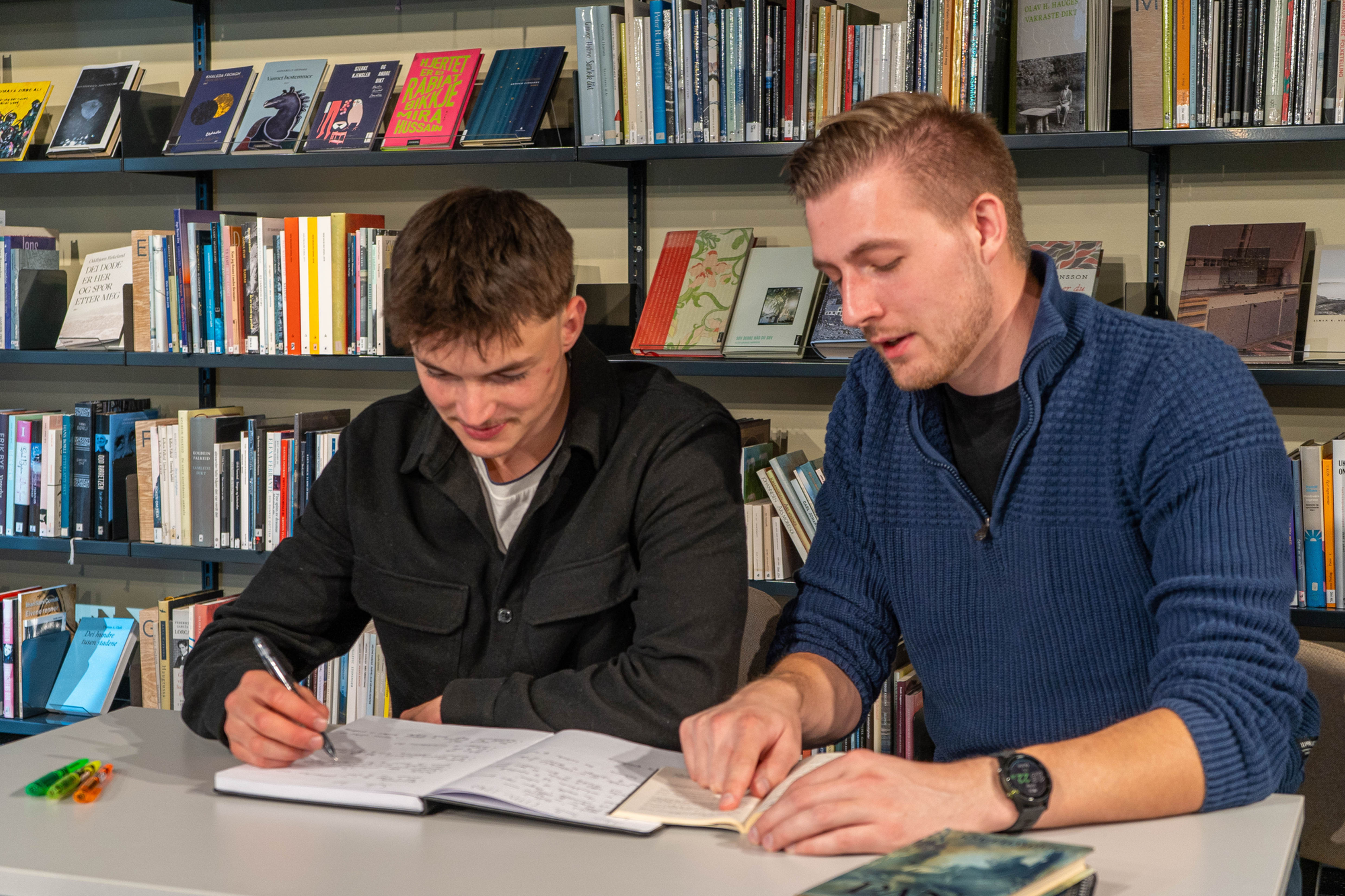 Privatundervisning i norsk