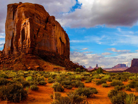 Cannabis Business in New Mexico: Licensing Process, License Types, and Market Projections