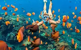 ttd-activities-1-cabo-snorkel-sea-adventure.webp