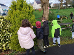 IMG_20240322_111209443