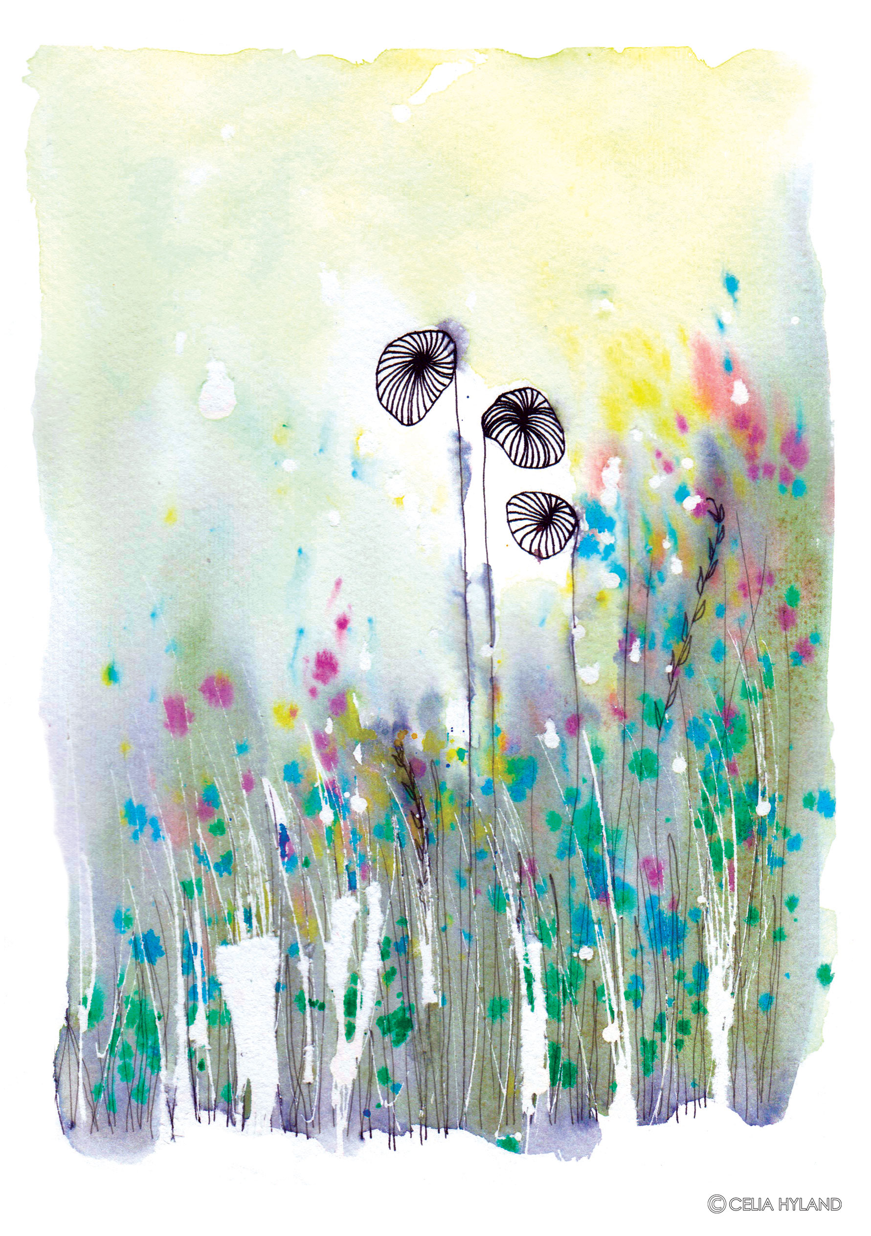 Wildflower Seedheads