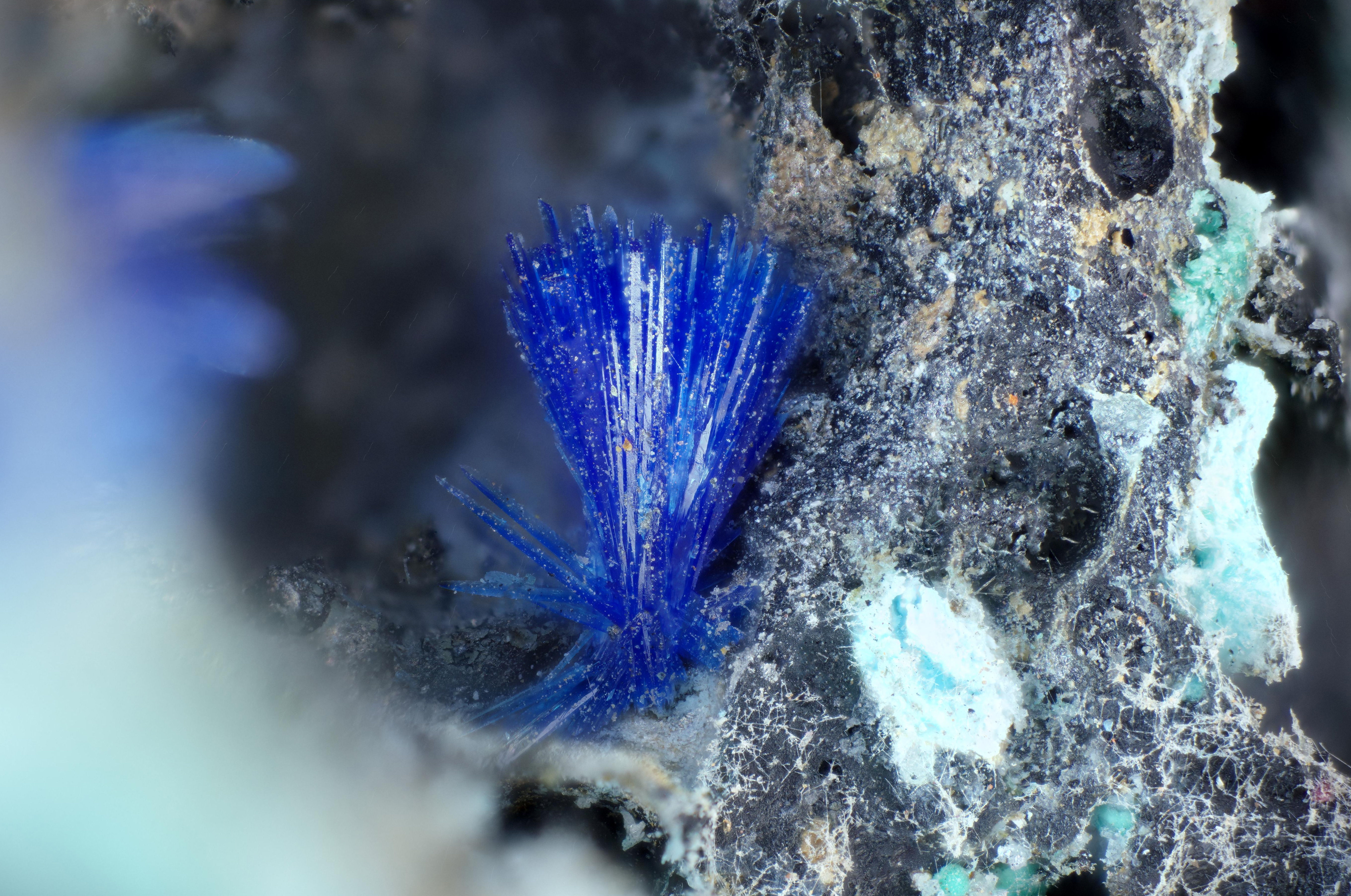 Linarite | Meadowfoot, Ecosse - Micromount