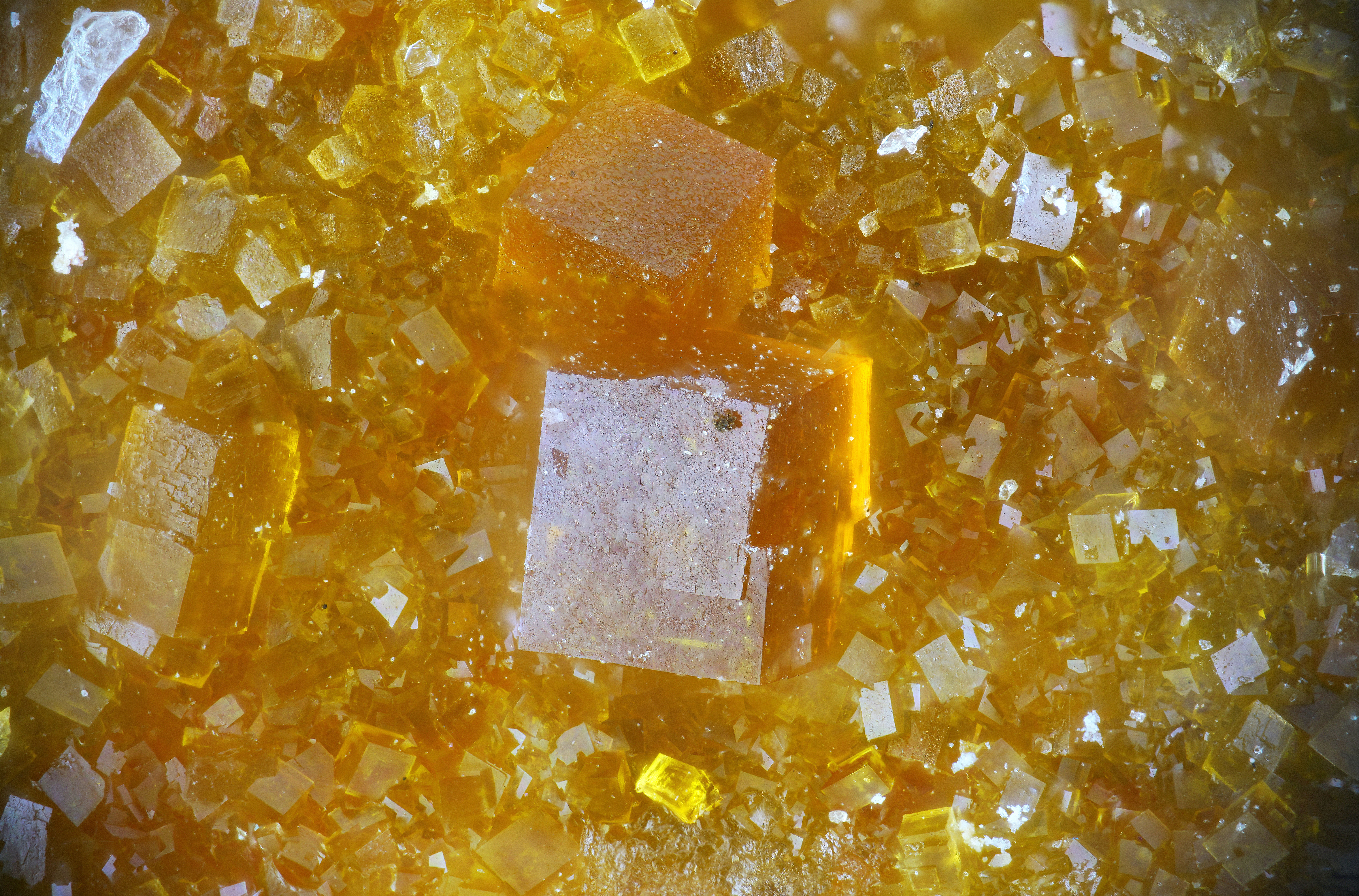 Pharmacosiderite | Cap Garonne, France - Micromount