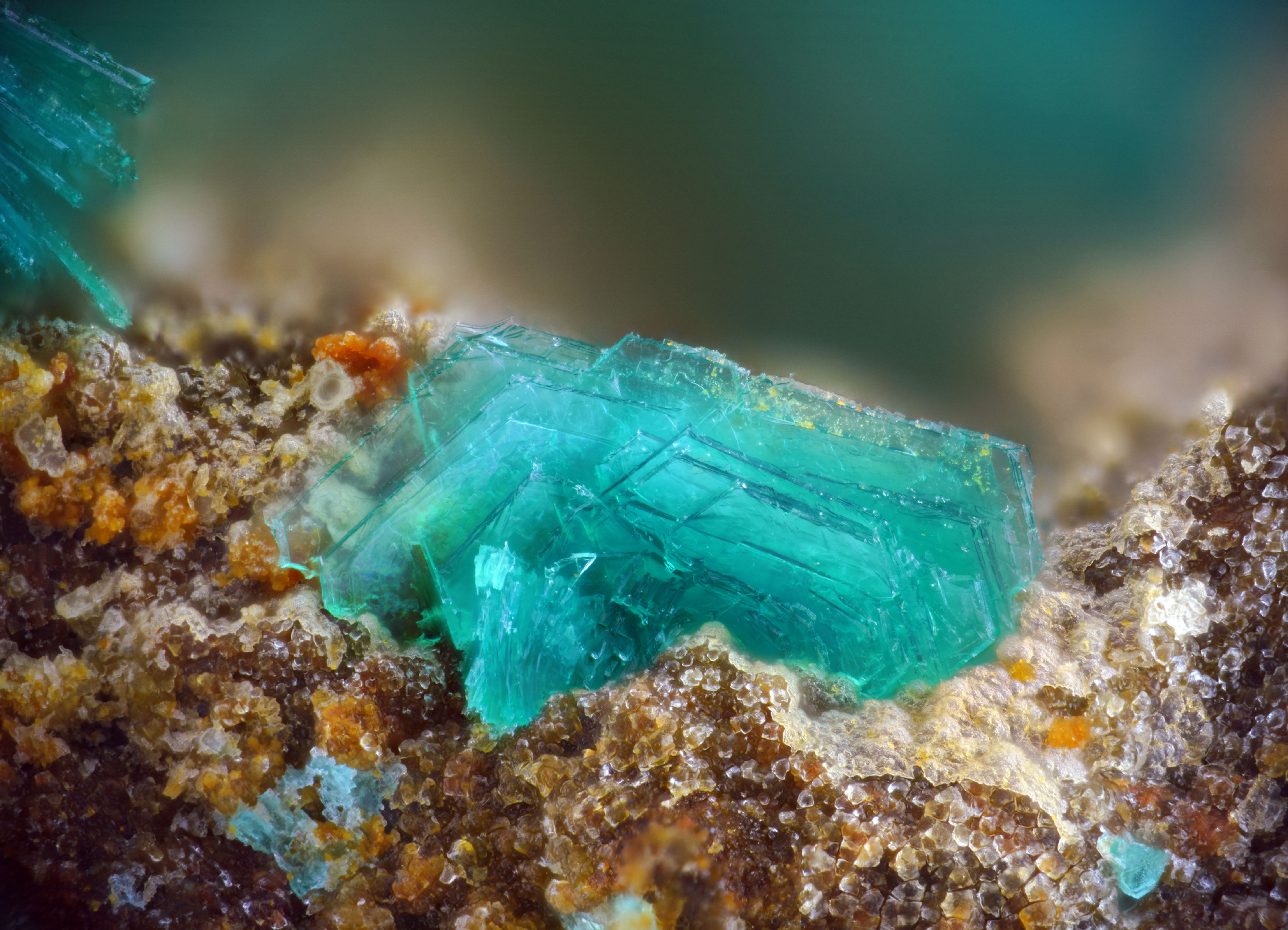 Chalcophyllite |  Salsigne, France - Micromounts