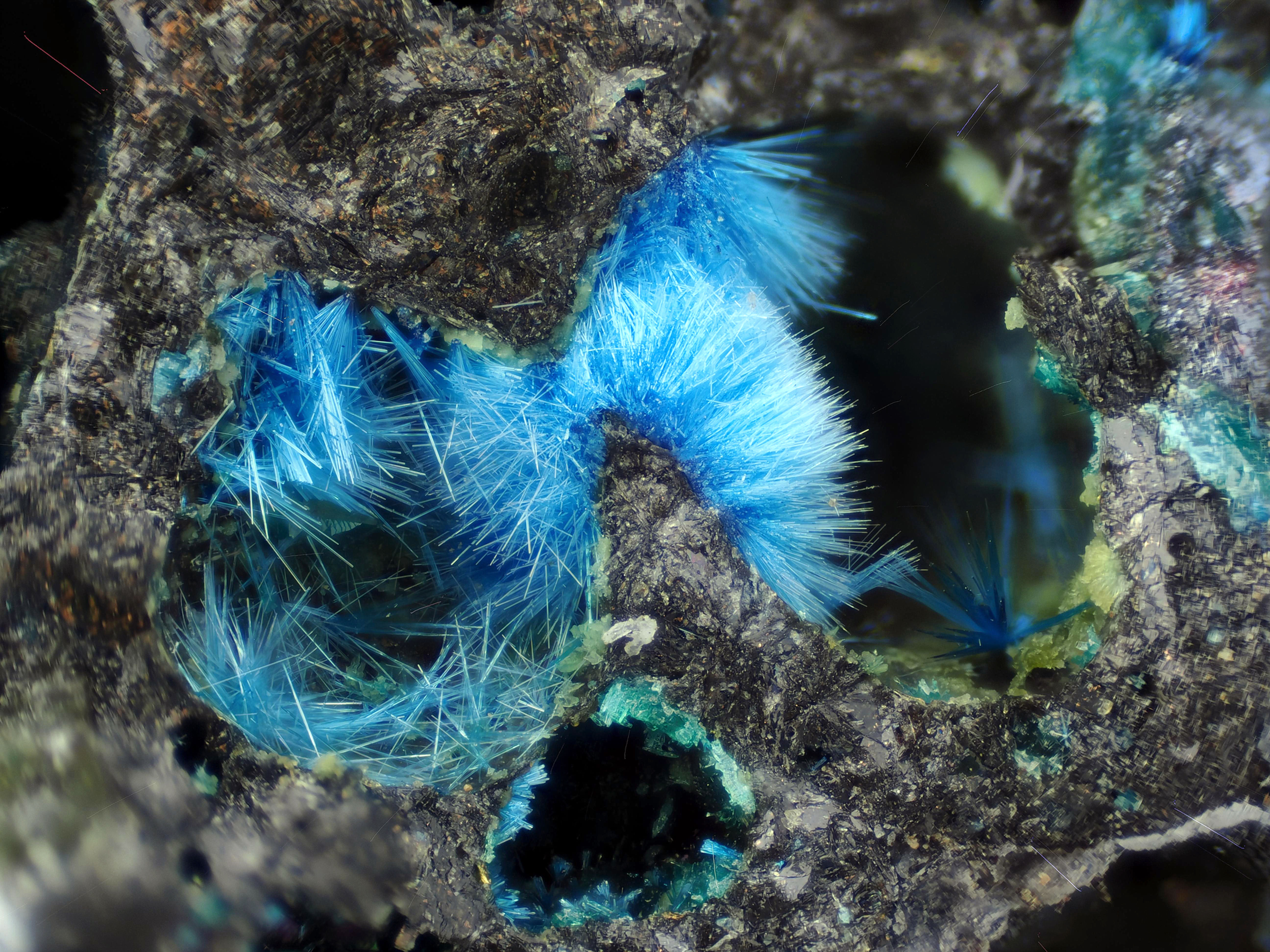 Connellite | Bleida, Maroc - Micromount