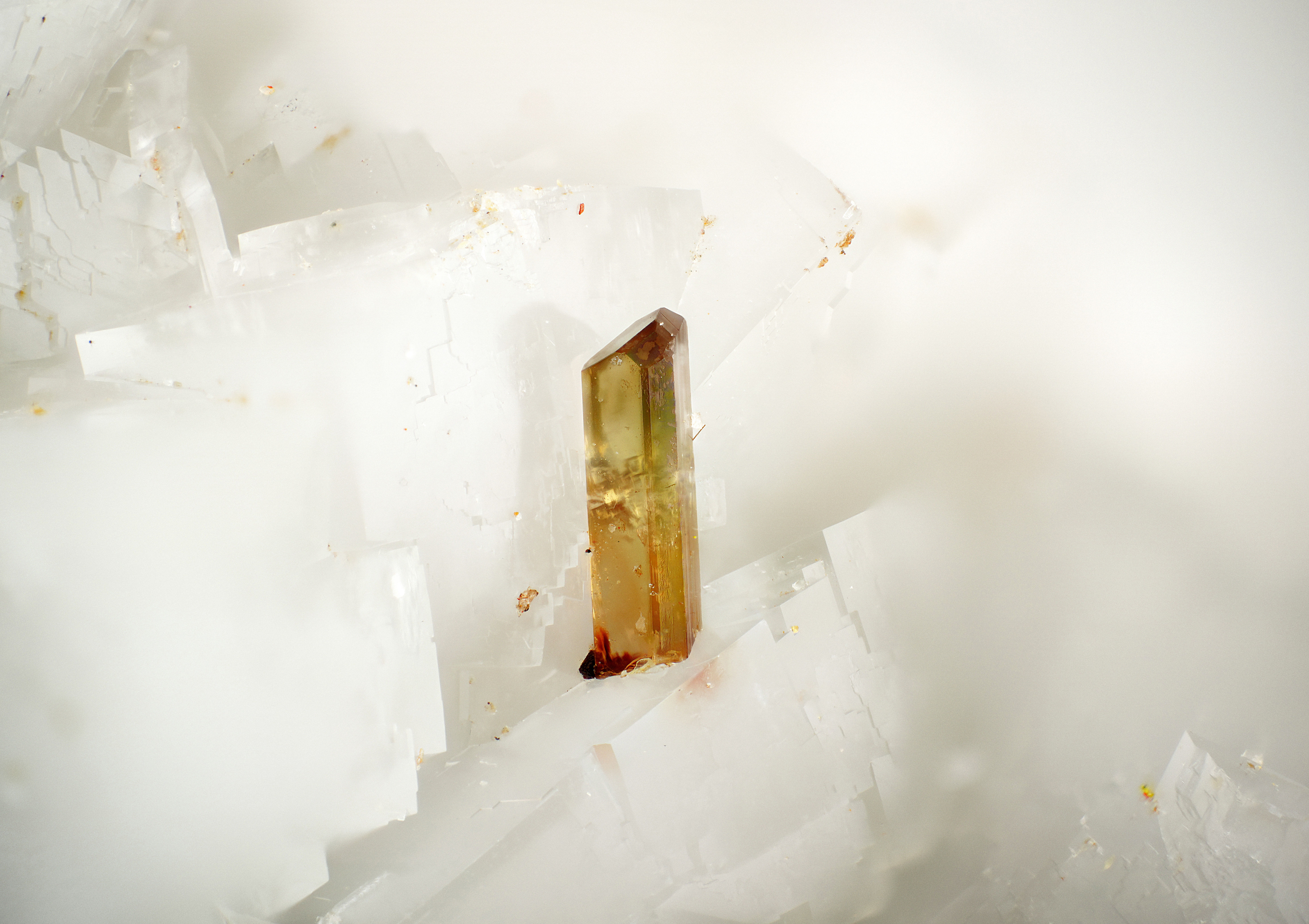 Allanite | Trimouns, France - Micromount