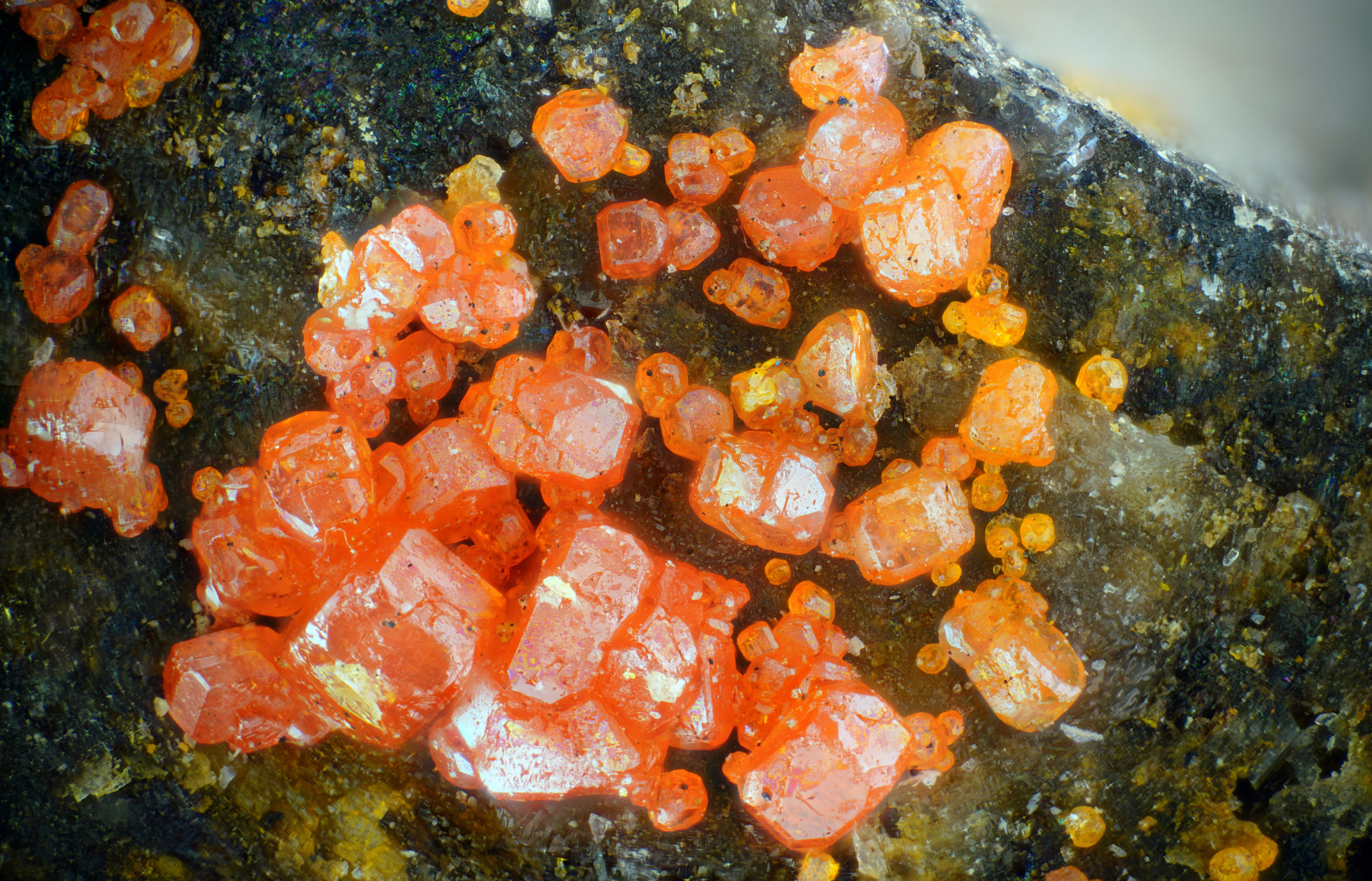 Vanadinite - Old Yuma - USA